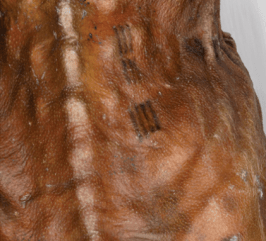 Ötzi_tatuajes en zona dorso-lumbar